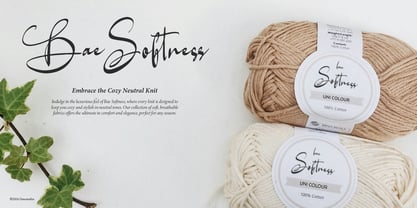 Willnesong Celestial Font Poster 10