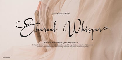 Willnesong Celestial Font Poster 2