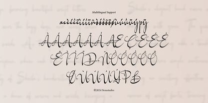 Willnesong Celestial Font Poster 12