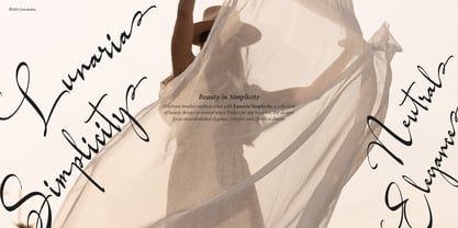 Willnesong Celestial Font Poster 4