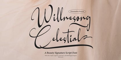 Willnesong Celestial Font Poster 1