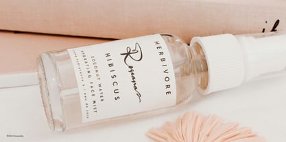 Willnesong Celestial Font Poster 8