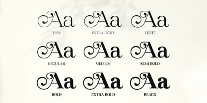 Regal Legacy Font Poster 7