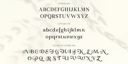 Regal Legacy Font Poster 10