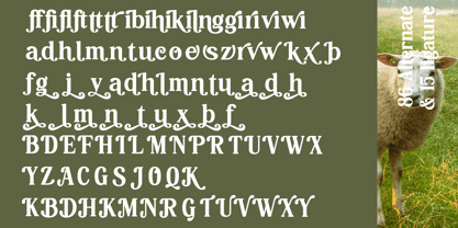Hasbor Font Poster 11