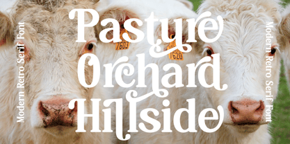 Hasbor Font Poster 8