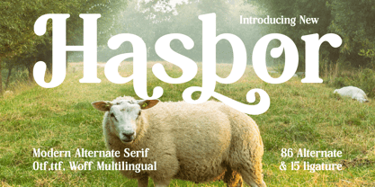 Hasbor Font Poster 1