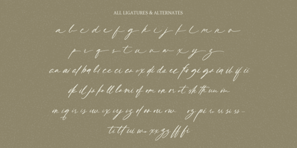 Princess Kasya Font Poster 7