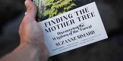 Kadire Font Poster 5