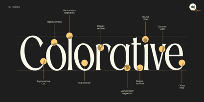 TBJ Palatino 2 Styles Font Poster 6