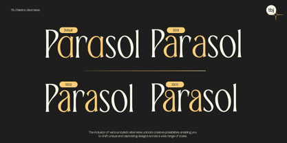 TBJ Palatino 2 Styles Font Poster 8