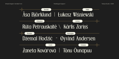 TBJ Palatino 2 Styles Font Poster 15