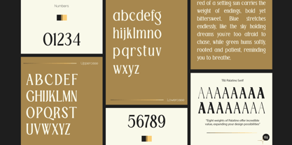 TBJ Palatino 2 Styles Font Poster 2