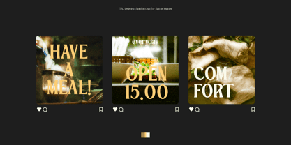 TBJ Palatino 2 Styles Font Poster 14