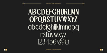 TBJ Palatino 2 Styles Font Poster 3