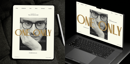 TBJ Palatino 2 Styles Font Poster 11