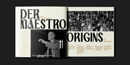 TBJ Palatino 2 Styles Font Poster 12