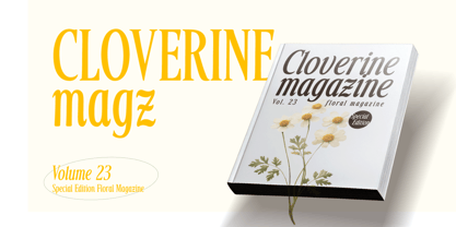 Silkone Font Poster 5