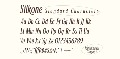Silkone Font Poster 7