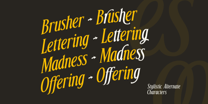 Silkone Font Poster 6