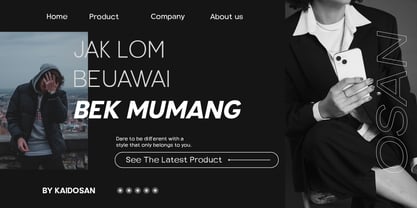 Lurence Font Poster 11