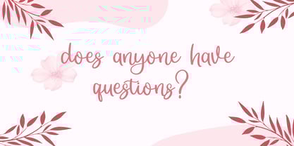 Camilora Font Poster 5