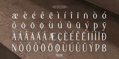 Bitto Club Font Poster 11