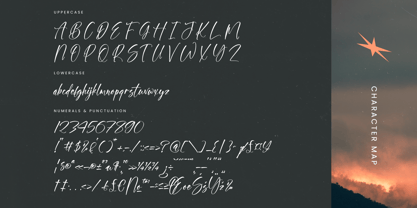 Skyerting Font Poster 14