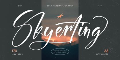 Skyerting Font Poster 1