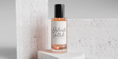 Skyerting Font Poster 13