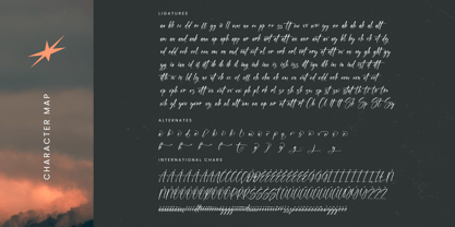 Skyerting Font Poster 15