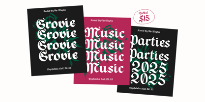 Todak Gothic Font Poster 10