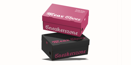 Todak Gothic Font Poster 8