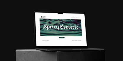 Todak Gothic Font Poster 11