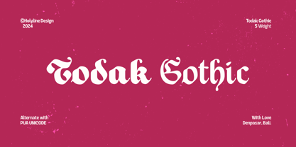 Todak Gothic Font Poster 1