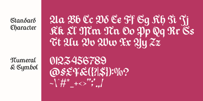 Todak Gothic Font Poster 12