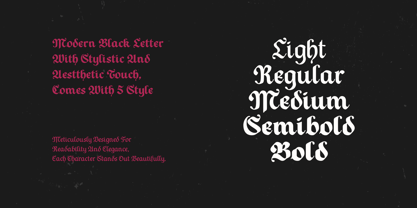 Todak Gothic Font Poster 2