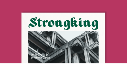 Todak Gothic Font Poster 5