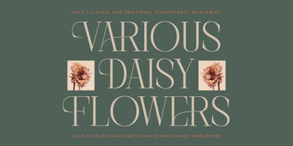 Barely Painter Font Poster 8