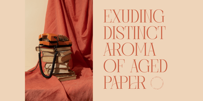 Barely Painter Font Poster 7