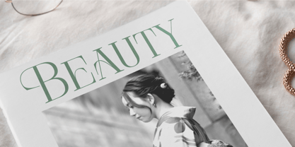 Barely Painter Font Poster 11