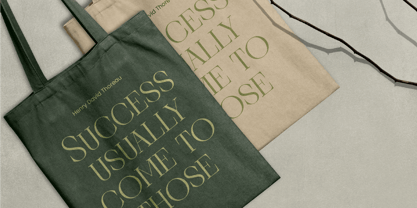 Barely Painter Font Poster 2