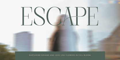 Barely Painter Font Poster 12