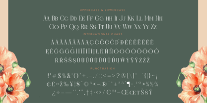 Barely Painter Font Poster 15