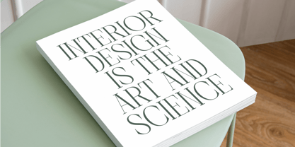 Barely Painter Font Poster 4