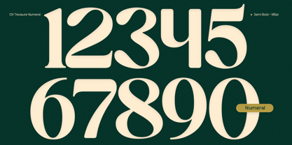 OV Treasure Font Poster 4