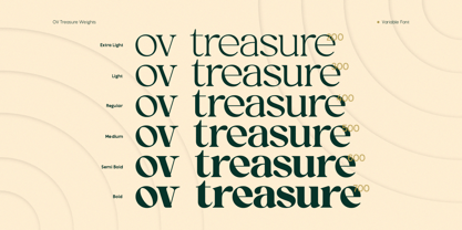 OV Treasure Font Poster 11