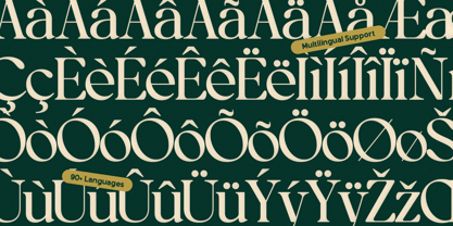 OV Treasure Font Poster 15