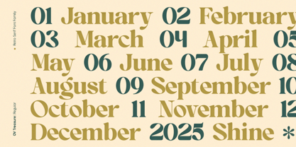 OV Treasure Font Poster 9