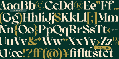 OV Treasure Font Poster 3